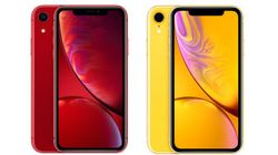 শুক্রবার শুরু হচ্ছে নতুন iPhone XR প্রি-অর্ডার 