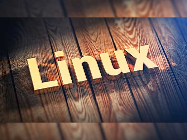 ওভাররাইট না করেই বুট করুন লিনাক্স