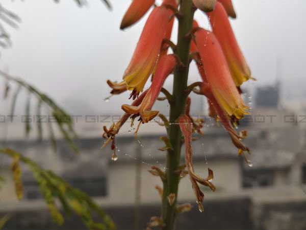 মাল্টিমিডিয়া এক্সপিরিয়েন্স