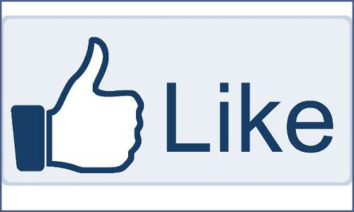 How Facebook plug-in can be leveraged in a business website?