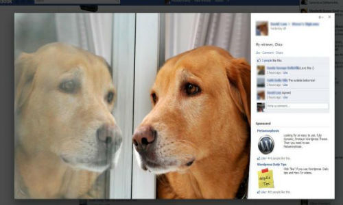 Facebook updates its photo viewer