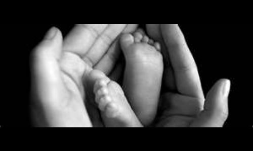 Does internet influence motherhood?