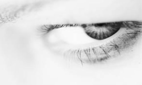 New software to spot liars