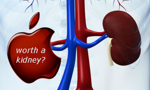 Kidney sold to get Apple iPad