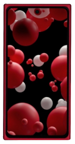 HMD Xenon