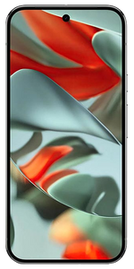 Google Pixel 9 Pro XL