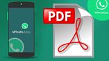 How To Export WhatsApp Chat As PDF