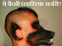सच या झूठ! इंटरनेट की 10 कहानियां जिन पर हम करते हैं विश्वास! 