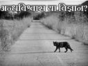इन बातों को जान के भी अंजान बनते हैं हम