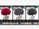 Take Better Pictures Through Your Smartphone With These 10 Simple Tips Take Better Pictures Through Your Smartphone With These 10 Simple Tips