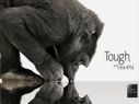 Top 10 Best Smartphones with Gorilla Glass Protection in India Under Rs 10,000