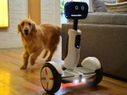 From Food Scanner to Smart Belt: 10 Crazy Gadgets... From Food Scanner to Smart Belt: 10 Crazy Gadgets Launched in 2016 So Far!