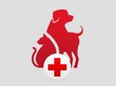 If You're A Dog Owner, These Essential Apps Are... If You're A Dog Owner, These Essential Apps Are Exactly What You Need!