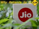 Here's Why Reliance Jio 4G Data Speed is Slow: 5... Here's Why Reliance Jio 4G Data Speed is Slow: 5 Things to Know