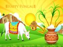 Smartphones that are available for purchase this Pongal at Upto 40% discount Smartphones that are available for purchase this Pongal at Upto 40% discount