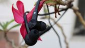 Zebronics Zeb-Monk Review: Delivers Good Audio Output And... Zebronics Zeb-Monk Review: Delivers Good Audio Output And Lasting Battery Life