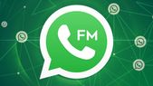 FMWhatsApp APK Download: How to Download FMWhatsApp Latest Version On Android?