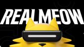 Did You Know That Realme Sells These Things In India?