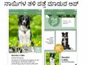 ನಾಯಿಗಳ... ನಾಯಿಗಳ ತಳಿ ಕಂಡುಹಿಡಿಯಲು ಮೊಬೈಲ್ ಆಪ್