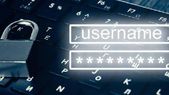 ಲಕ್ಷಾಂತರ ಭಾರತೀಯರು ಬಳಸುವ 'ಪಾಸ್‌ವರ್ಡ್' ಇದು; ಹೀಗೂ ಇರ್ತಾರಾ ಜನ!