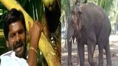 சில்வண்ட&... சில்வண்டு சிக்கும் சின்னதம்பி சிக்கமாட்டான்- கெத்தும் காட்டும் யானை.!