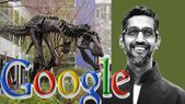 கூகுள் தனது அலுவலகத்தில் அழிந்து போன டைனோஸர் வகை ஒன்றின் எலும்புக்கூடை நிறுவியுள்ளது எதற்கு தெரியுமா