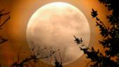 Super Flower Moon 2020: இந்த ஆண்டின் இறுதி சூப்பர் மூன் நிகழ்வைக் காண லாஸ்ட் சான்ஸ்! 