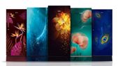 கலர்... கலர் கலரா..டிசைன் டிசைனா புதிய Haier 5 ஸ்டார் ரெப்ரிஜிரேட்டர்ஸ்.. 10 வருட வாரன்டியுடன் விலை இவ்வளவு தானா?