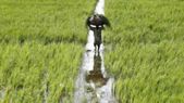 ஒரே ஆண்டில் ரூ.335 கோடி வருமானம்- பட்டையை கிளப்பும் விவசாயி: லைவ் ஸ்ட்ரீம் மூலம் நேரடி விற்பனை!