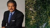 கொல்லி... கொல்லி மலை உலக அளவில் பேமஸ்: காரணம் இவர் தான்: வியந்து பார்க்கும் மக்கள்.!