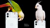 Nothing Phone 1-இன் 