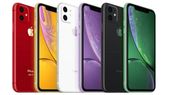 iPhone 11 இவ்வளவு கம்மி விலையிலா? ஆனா 