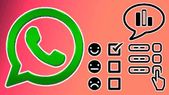 இந்த புது WhatsApp அம்சம் பற்றி தெரிஞ்சா உடனே ட்ரை செய்வீங்க.! Android / iOS ரெண்டுக்கும் உண்டு.!