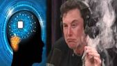 வெற்றிக்&... வெற்றிக்காக 1500 விலங்குகளை பலி கொடுத்த Elon Musk: அம்பலமான உண்மை?