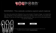 इस पोर्न साइट के 10 लाख पॉसवर्ड हो गए लीक