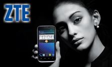 क्‍या आप लेना चाहेंगे जेडटीई का 