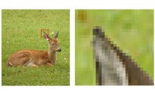 क्‍या होता है पिक्‍सल