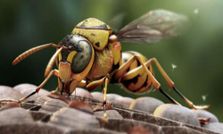 कैमरे से नहीं कंप्‍यूटर से बनाईं हैं ये तस्‍वीरें