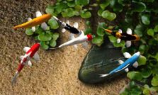 एंड्रायड फोन में डाउनलोड कीजिए 10 फ्री लाइव वॉलपेपर