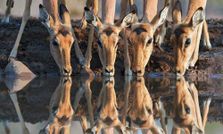 रिफ्लेक्‍शन फोटोग्राफी कहते हैं इसे