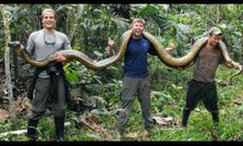 सोशल मीडिया में क्‍यों पॉपुलर हैं ये फोटो ?