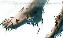 अनोखी वाशिंग मशीन जिसमें मछलियां धुलेंगी आपके कपड़े