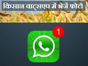 मप्र सरकार का फरमान, इल्ली की फोटो वाट्स एप पर भेजें किसान