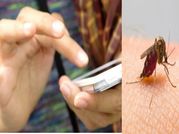 अपने स्मार्टफोन से भगाएं मच्छर!