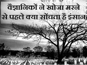 वैज्ञानिकों ने खोजा दर्दनाक मौत के ठीक पहले क्या सोचता है दिमाग