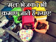 'मल' भेजकर कमाया जाता है पैसा, पैसे कमाने के ऐसे 8 अजीब तरीके!