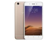 वीवो का नया Y55s स्मार्टफोन लॉन्च, इंटरनल स्टोरेज 256जीबी तक