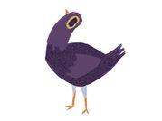 फेसबुक पर इन दिनों खूब उड़ रही है ये चिड़िया, जानते हैं क्या है इसका नाम?