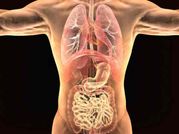 वैज्ञानिको के हाथ लगी बड़ी सफलता, शरीर के अंदर देखने वाली मशीन बनाई