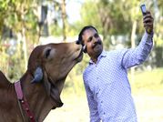 सेल्फी विद गौमाता कॉन्टेस्ट शुरू, भाग लेने के लिए अभी डाउनलोड करें ये ऐप